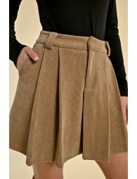 Short skirt, pleated in velvet