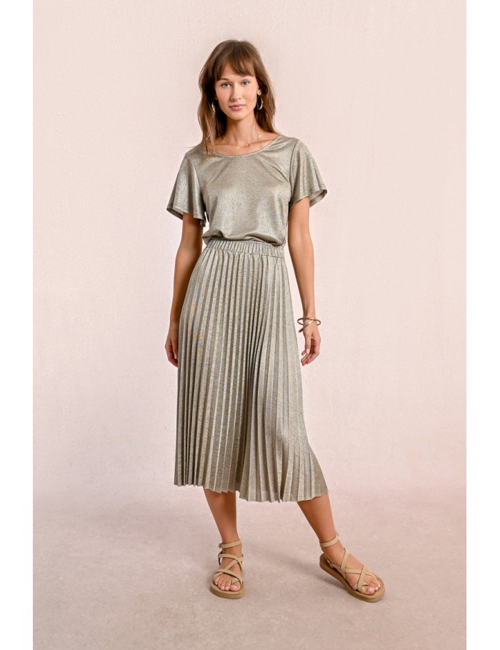 Long pleated and iridescent skirt