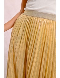 Long pleated and iridescent skirt